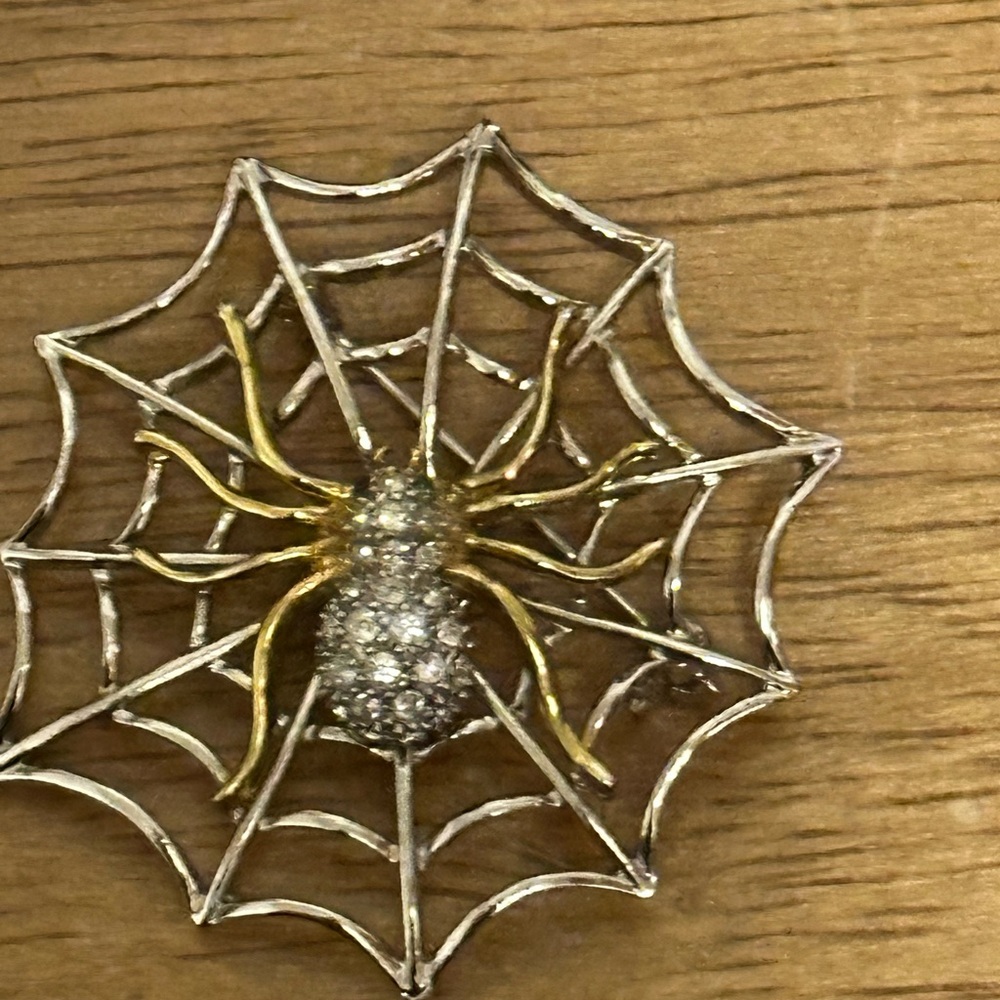 Silver and Gold Spider Web Brooch